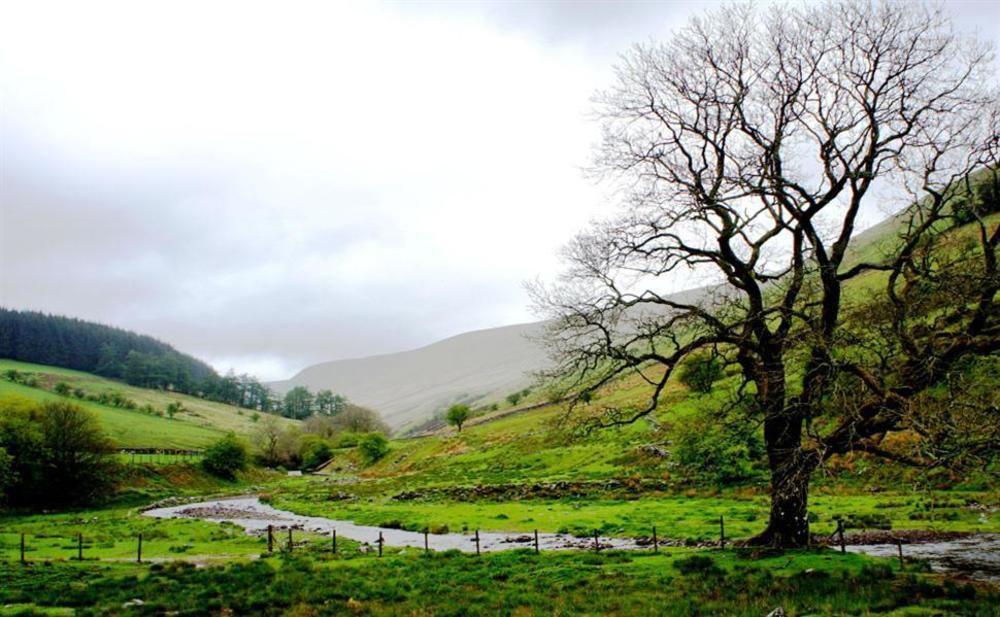 Nant Ddu Lodge Hotel & Spa Merthyr Tydfil Bagian luar foto